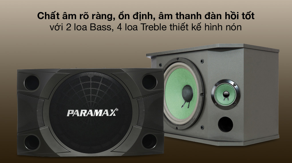 Loa hình nón - Cặp Loa Karaoke Paramax LX-850