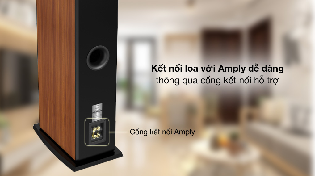 Kết nối Amply - Cặp loa Paramax LX-3800